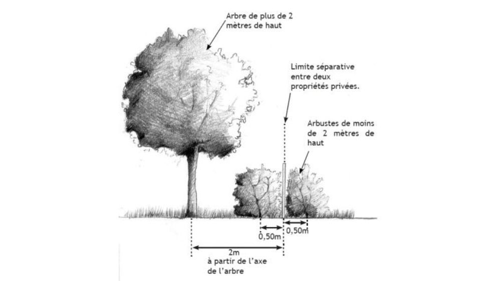 10 La réglementaion de l'élagage et voisinage article Serpe.jpg